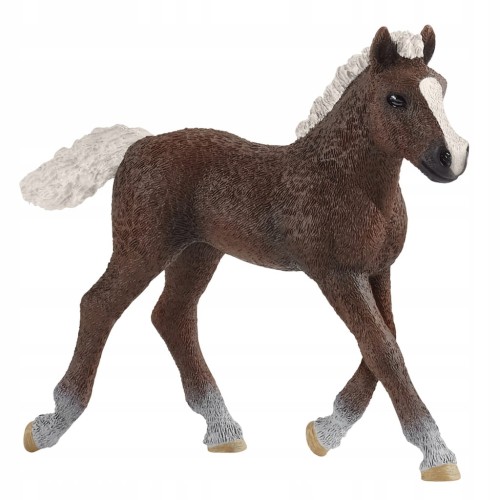 Żrebak rasy szwarcwaldzkiej Schleich - 17077
